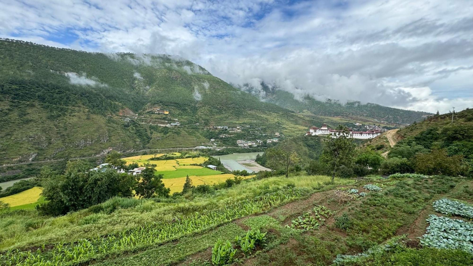 Wangdue Ecolodge Wangdue Phodrang Экстерьер фото