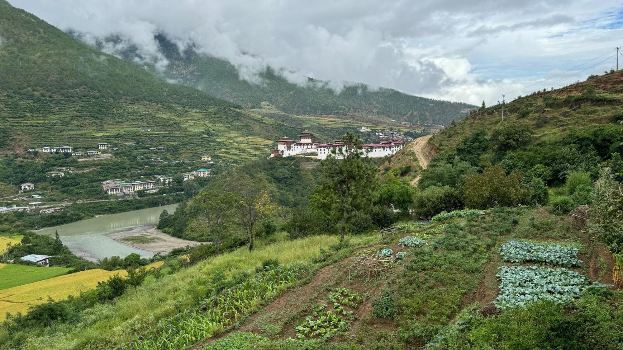 Wangdue Ecolodge Wangdue Phodrang Экстерьер фото