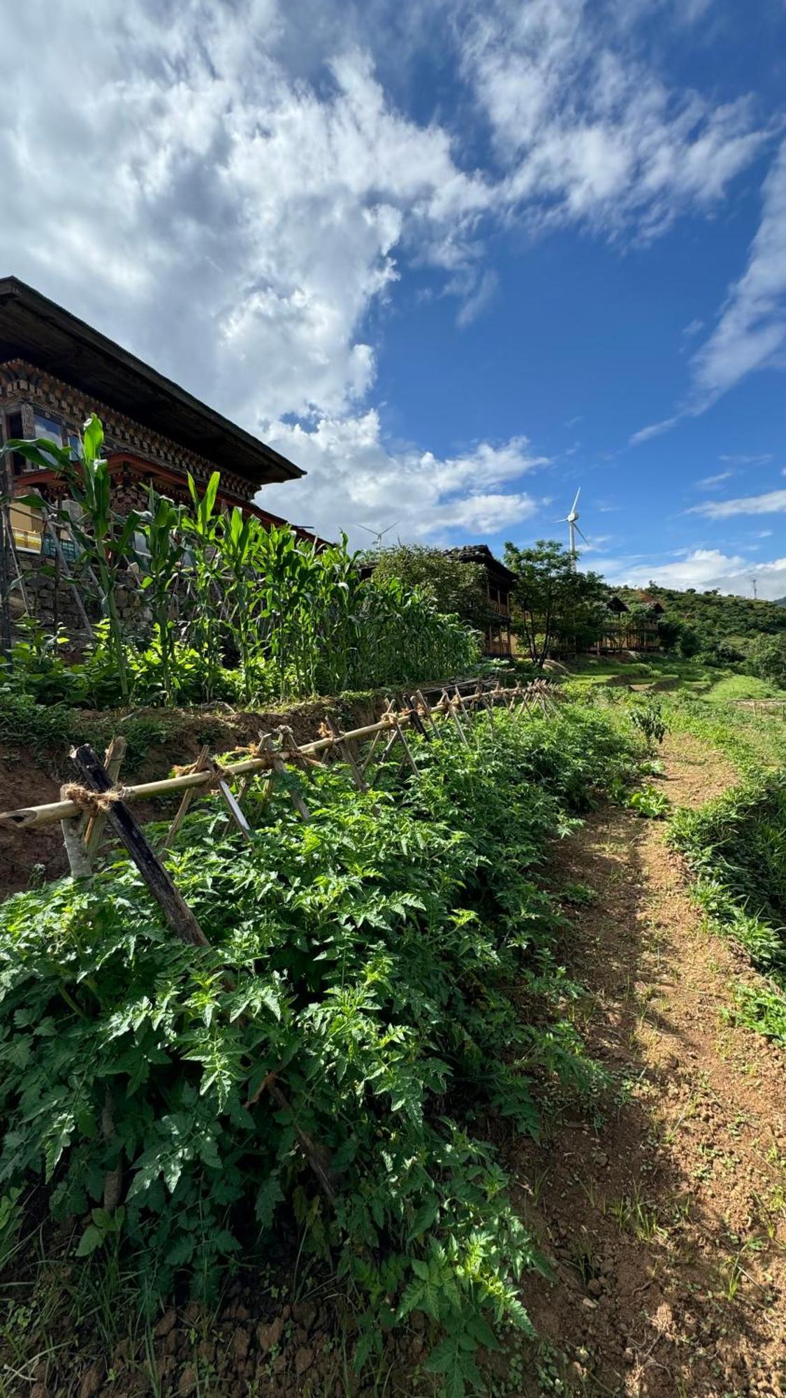 Wangdue Ecolodge Wangdue Phodrang Экстерьер фото