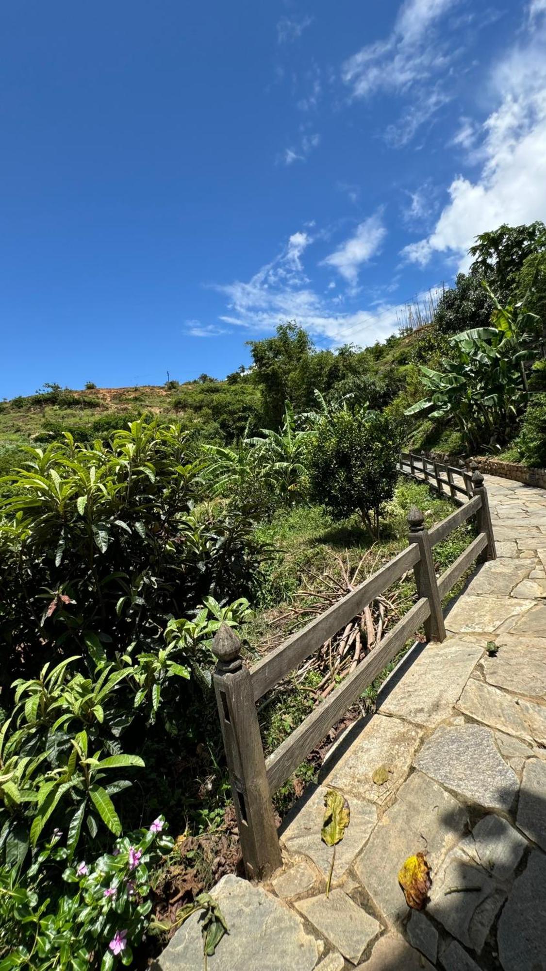 Wangdue Ecolodge Wangdue Phodrang Экстерьер фото
